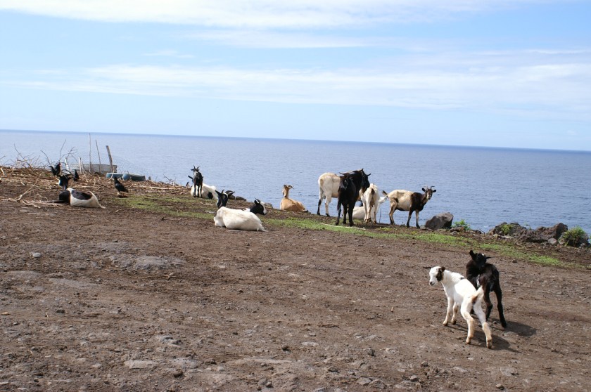 KONICA MINOLTA DIGITAL CAMERA