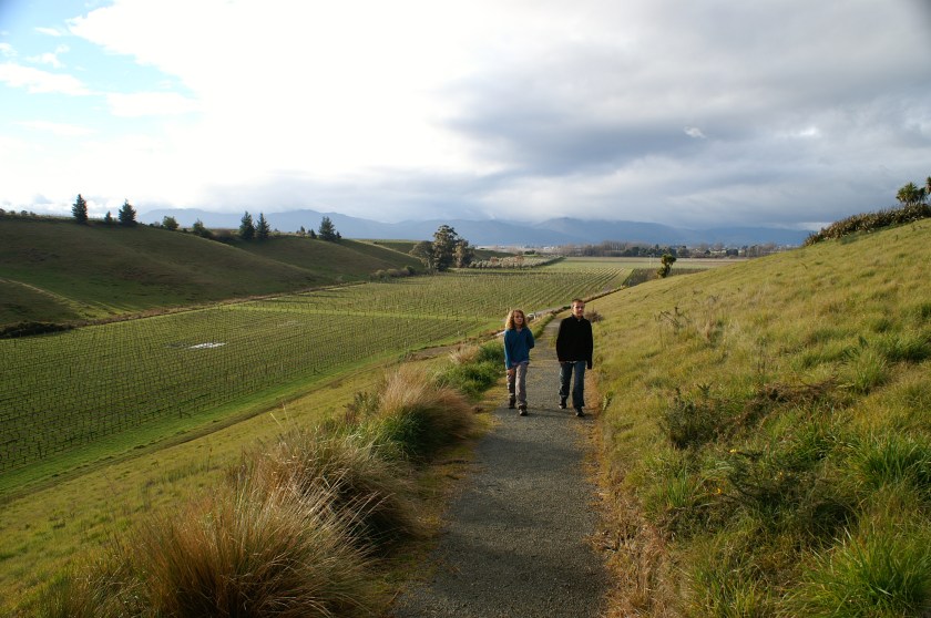 KONICA MINOLTA DIGITAL CAMERA